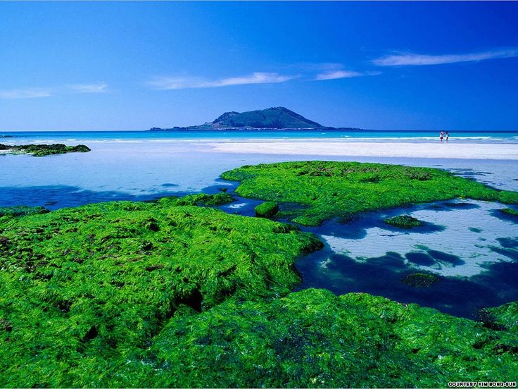 Beautiful Place Essay
