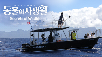 Secrets of Wildlife