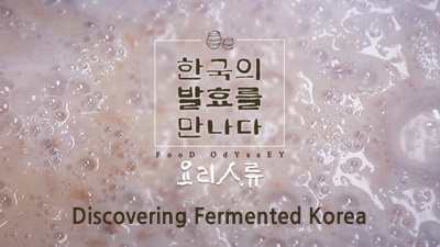 Food Odyssey - Discovering Fermented Korea