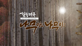 2019 추석특집 나무야 나무야