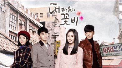 TV소설 내 마음의 꽃비