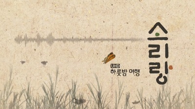 하룻밤 여행 소리랑