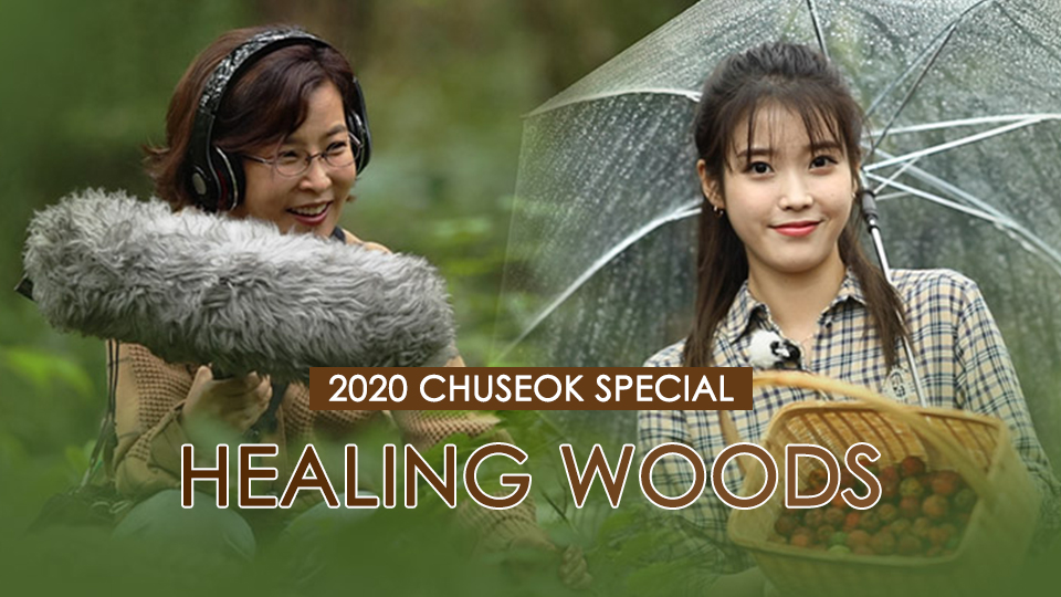 2020 추석특집 나무야 나무야