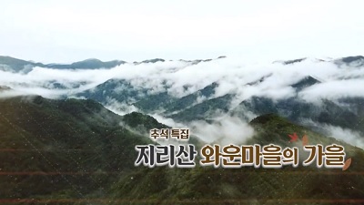 추석특집 지리산 와운마을의 가을