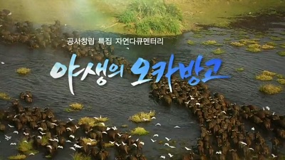 야생의 오카방고