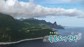 추석특집 다큐 울릉도에 산다