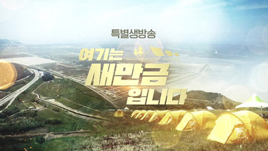 특별생방송 여기는 새만금 잼버리