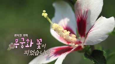 광복절 특집 다큐 무궁화꽃이 피었습니다