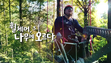 장애인의 날 특집 다큐 휠체어, 나무에 오르다