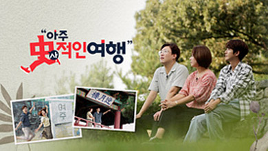 아주 사적인 여행