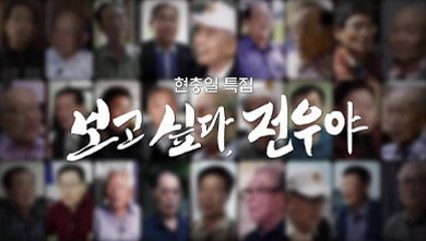 현충일 특집 다큐 보고싶다, 전우야
