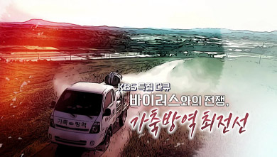 특집다큐 바이러스와의 전쟁 가축방역 최전선