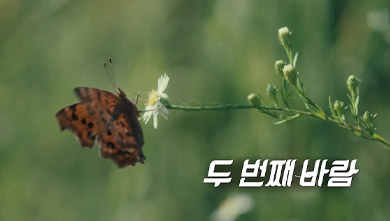 2024 파리 패럴림픽 특집다큐 두 번째 바람 [부산총국]