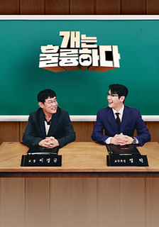 Dogs Are Incredible 2