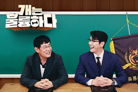 Dogs Are Incredible 2