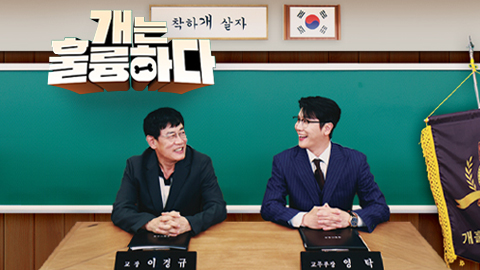 Dogs Are Incredible 2